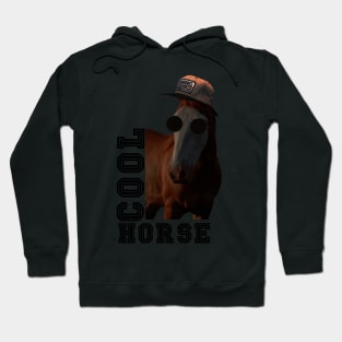 COOL HORSE Hoodie